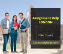 Best Assignment Help London At Very Cheap Prices logo